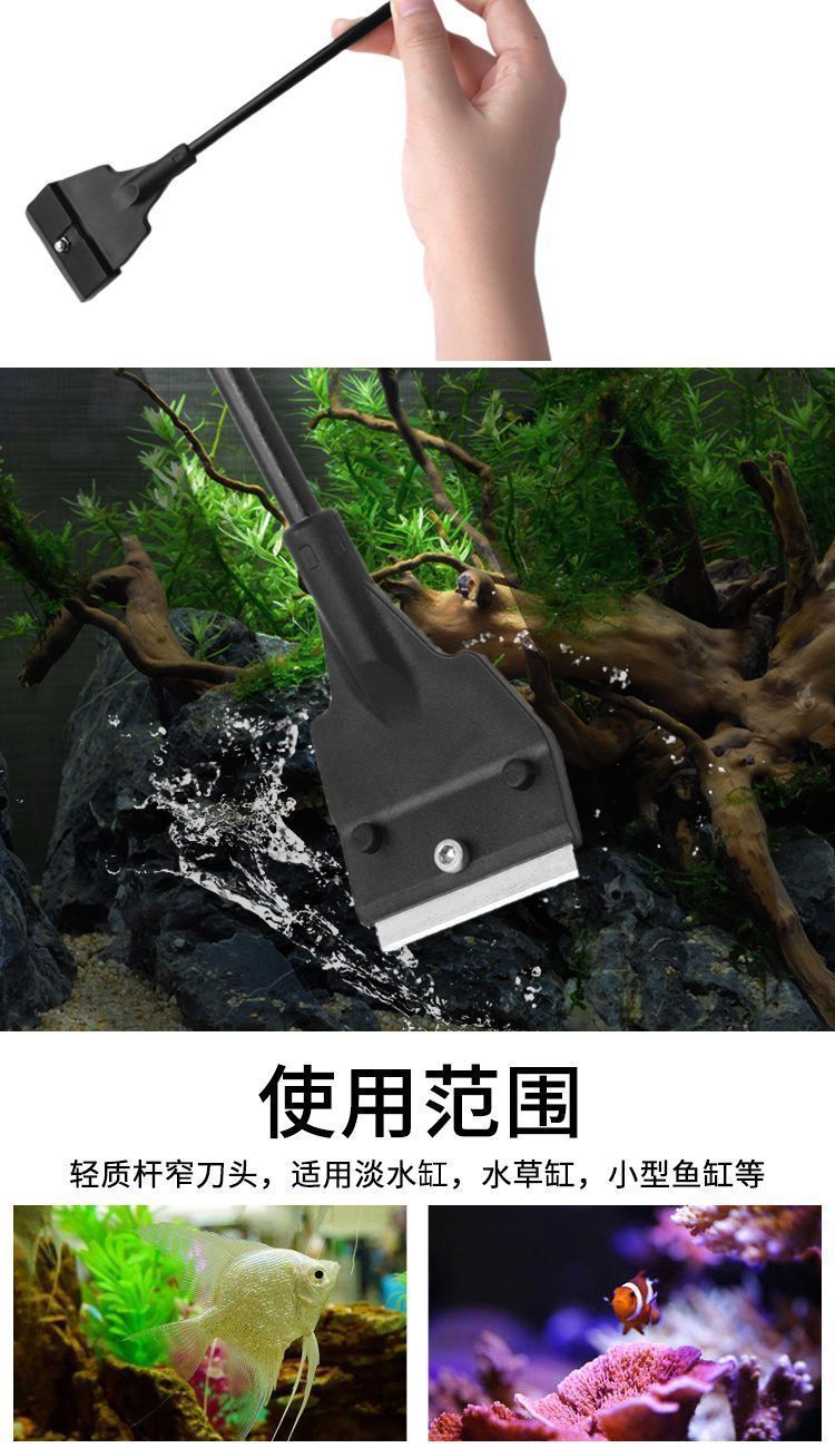 df822319-b7c4-4b8f-a2e6-ce62f5878498.jpe