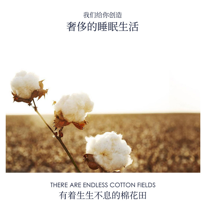酒店抗菌枕头_09