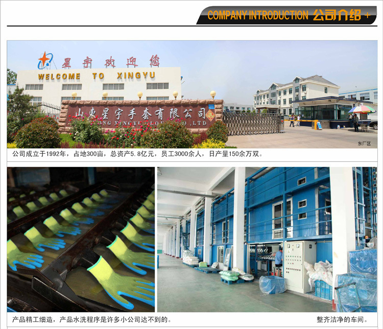 TB2N6mTiVXXXXcWXpXXXXXXXXXX_!!