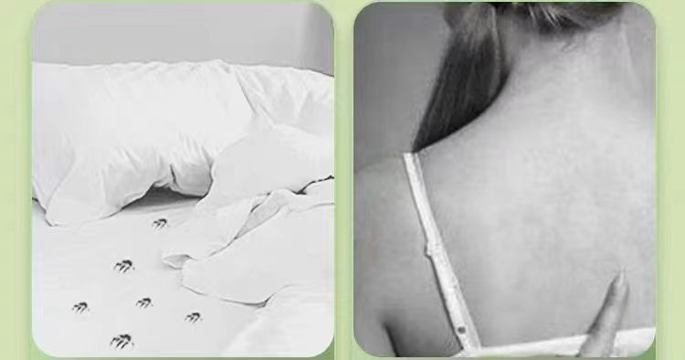 58ecfdf6-c61e-4add-9a18-581a2a393ebd.jpe