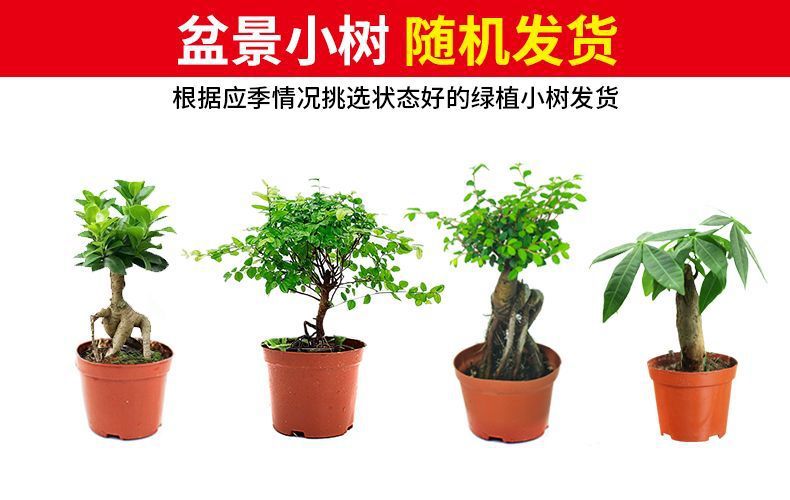 e333452f-986c-4aa9-8433-16d1a9ecc784.jpe