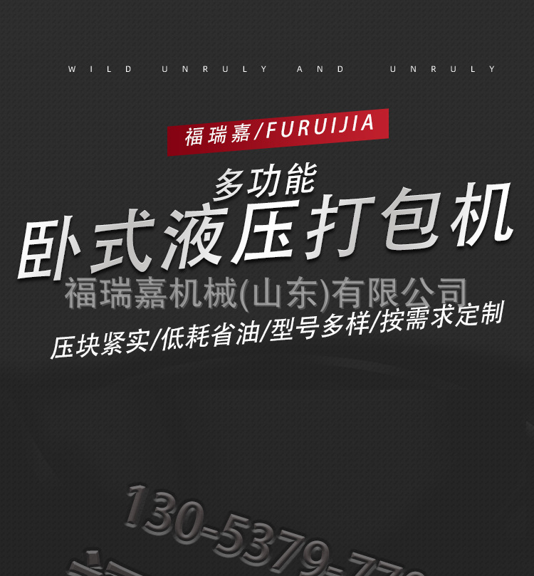 卧式打包机详情1_01.jpg