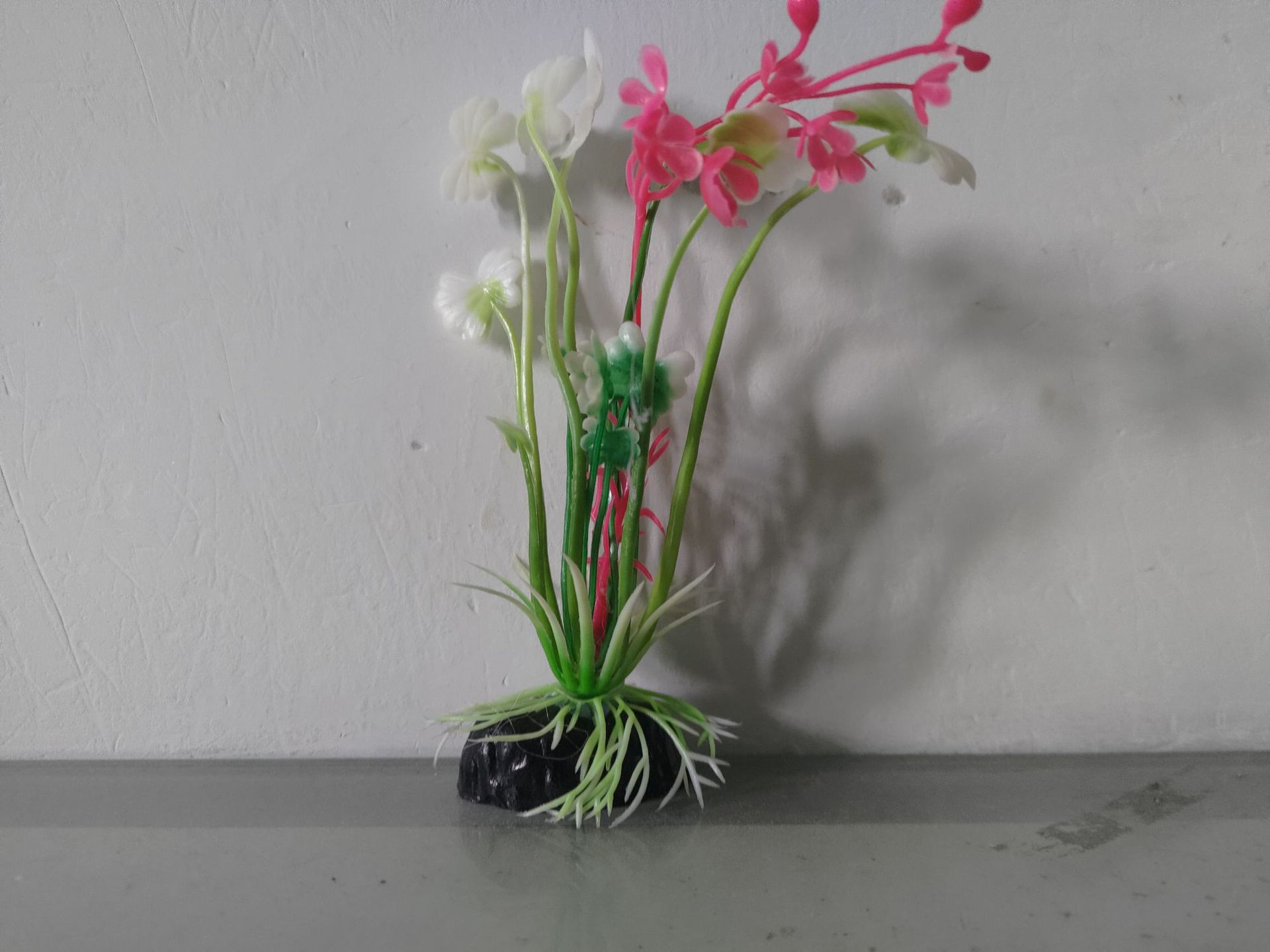 QQ图片20221020085352