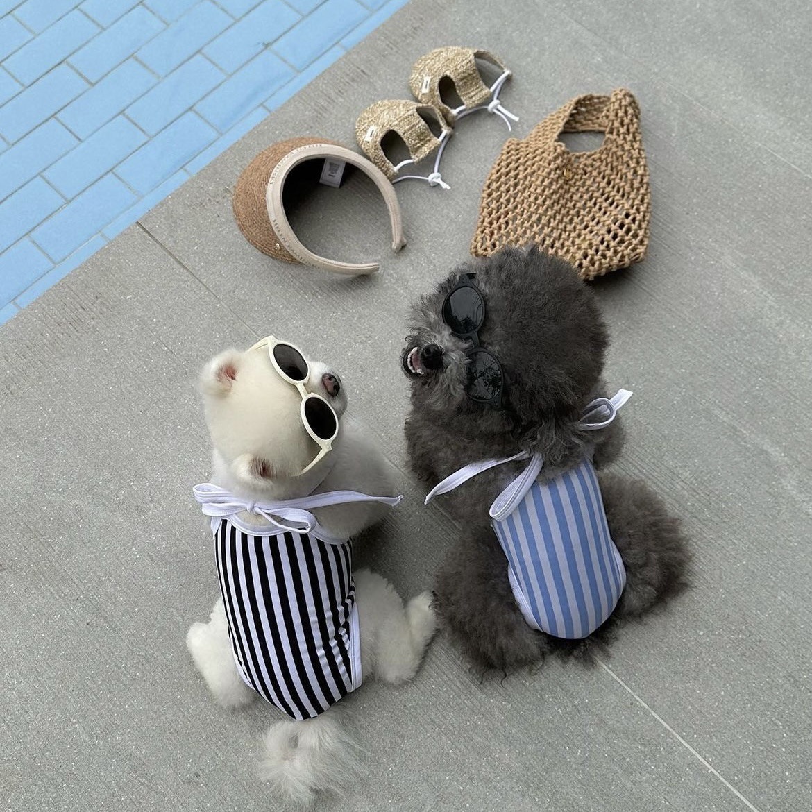 微信图片_20230530161746