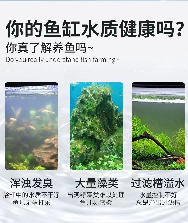 2efbba93-dd87-4bfb-8174-cc3b497f2c89.jpe