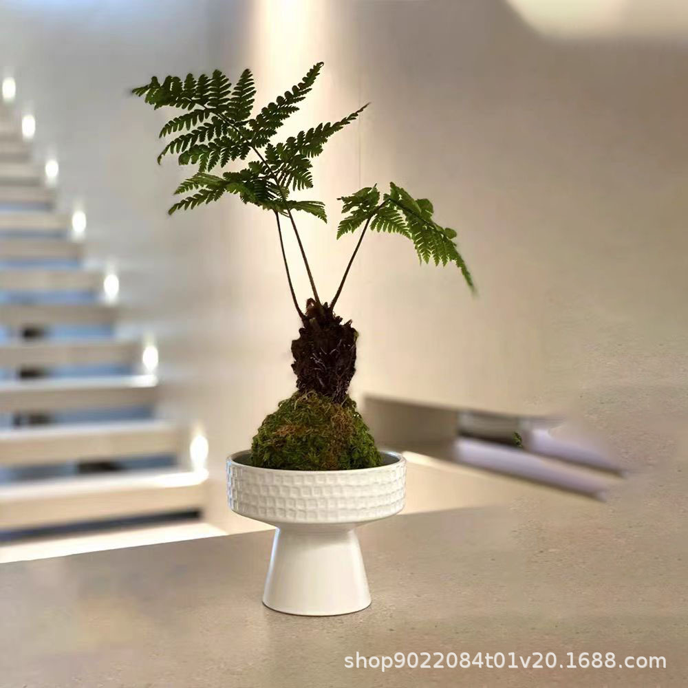 520b0cfc6fe0b497c2419f4e011bfc