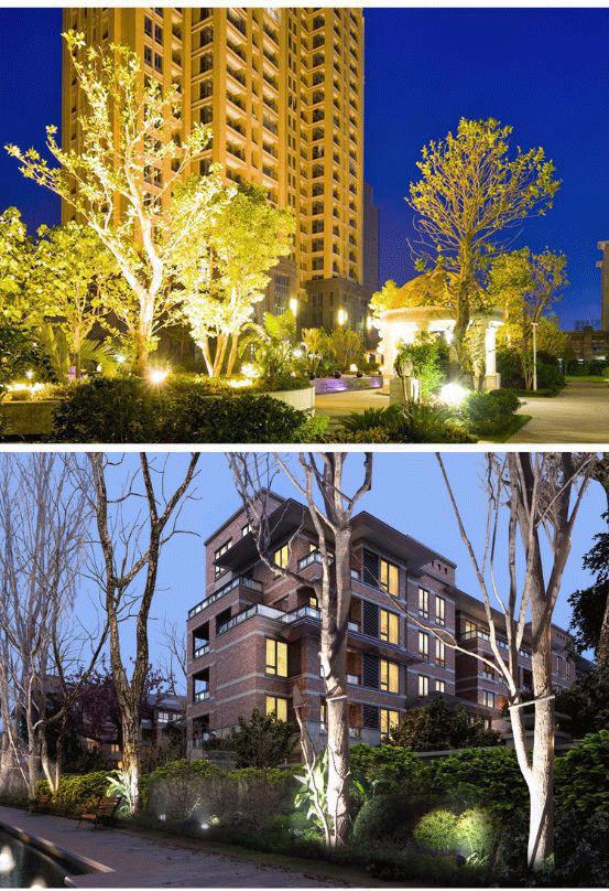 633116650284d5187234a-71b1-4d0