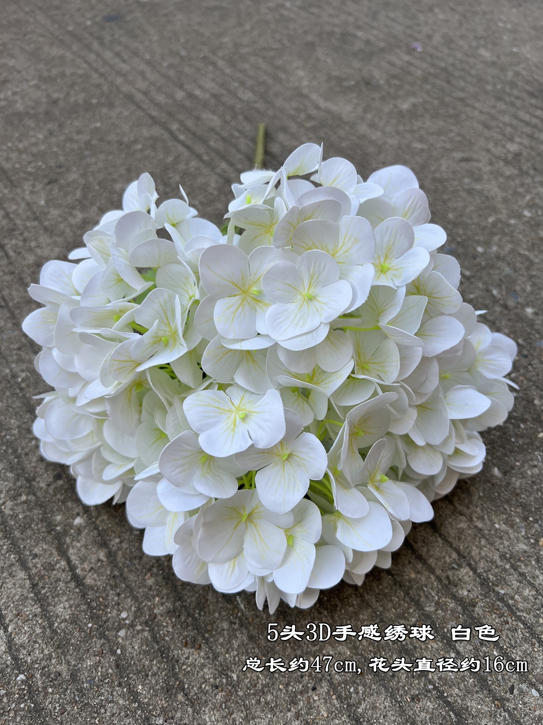 微信图片_20220526180752_副本