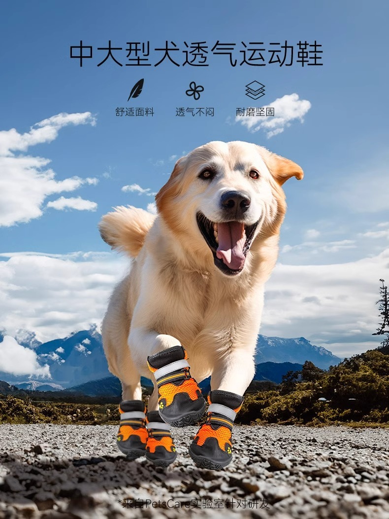 6f0a7e69-76a0-4264-9557-8b9d2f1301b0.jpe