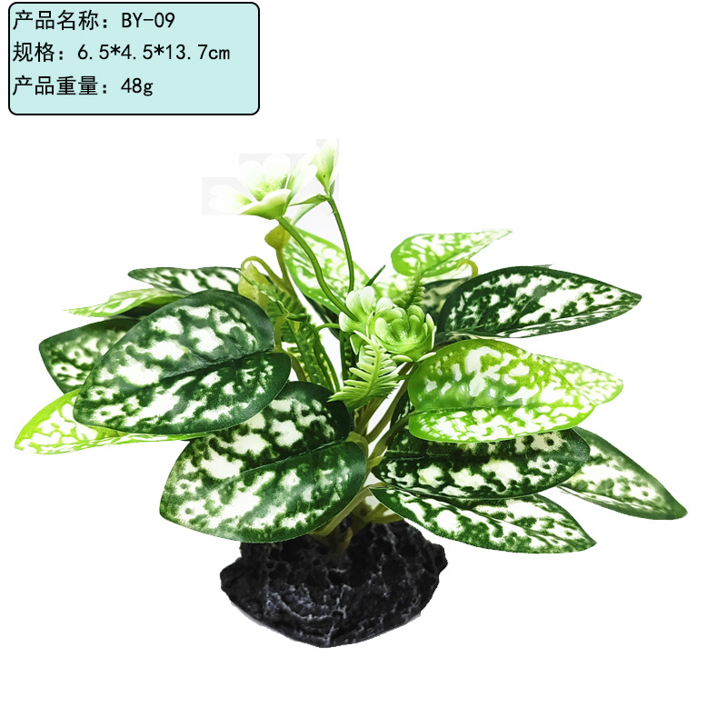未标题-2