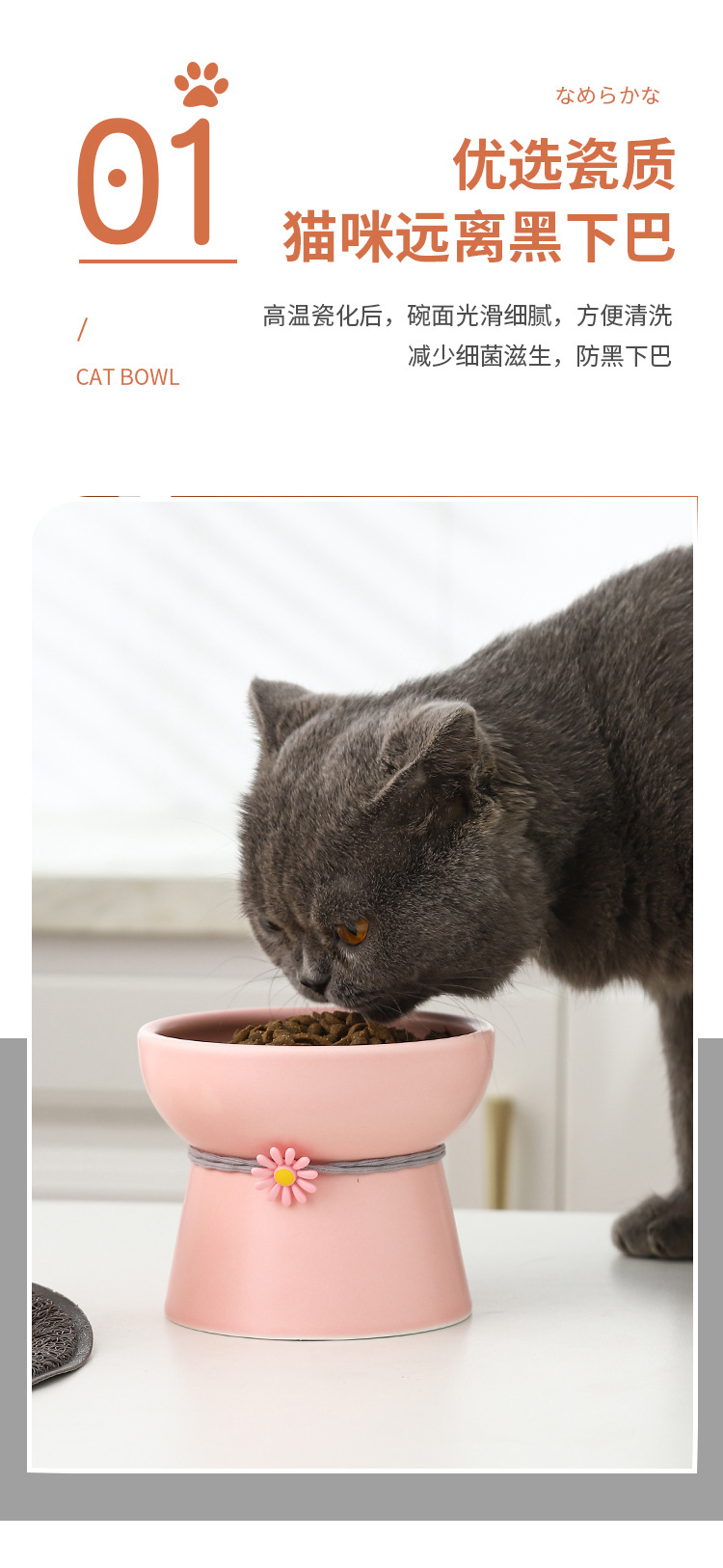 宠物碗_05.jpg