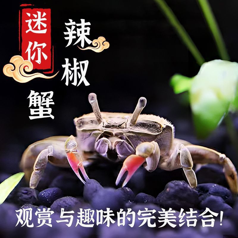 b5975644-7158-4229-bf1b-c93747145ee8.jpe