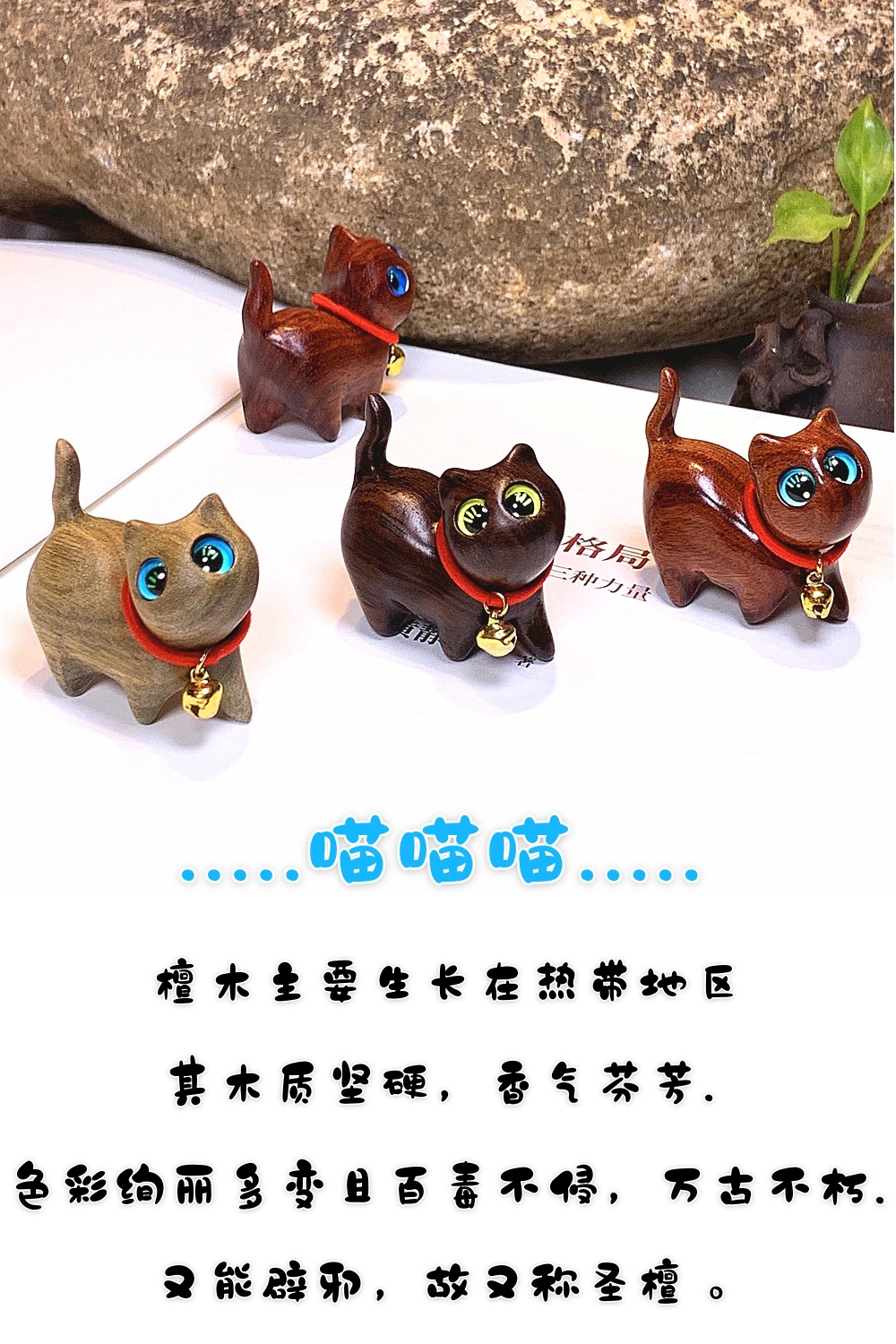 贪玩猫7
