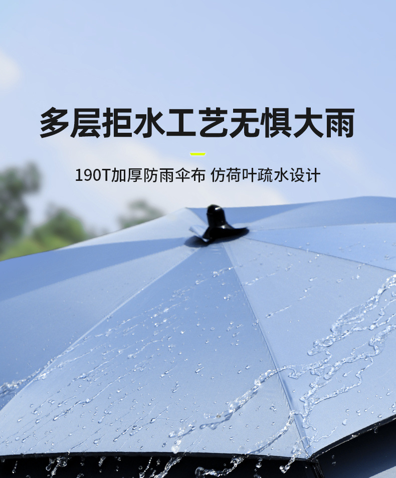 2c80a8fc-2e7b-4dd1-96e4-9deaa3faa62e.jpe