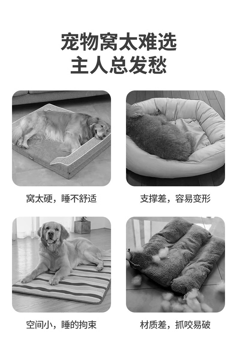 bcc5bf62-cf6d-456b-a33e-ba69cbf597ef.jpe