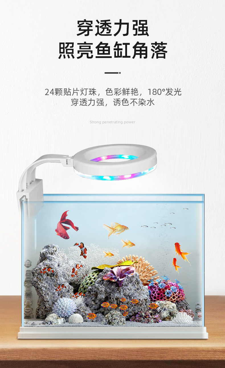 详情图片_04.jpg