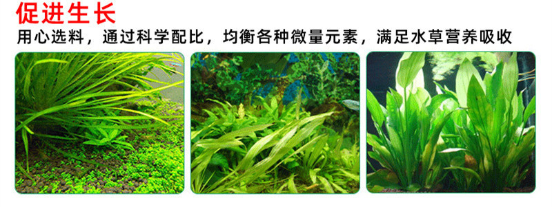 13f7074d-3050-41db-ae77-76be53adc998.jpe