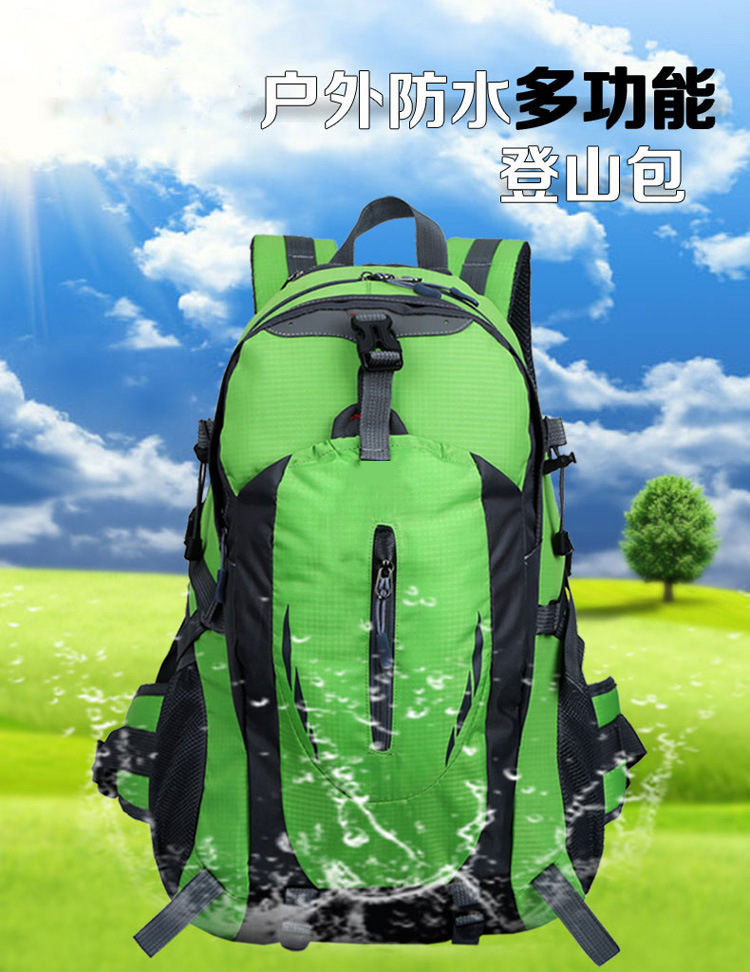 未标题-1_01