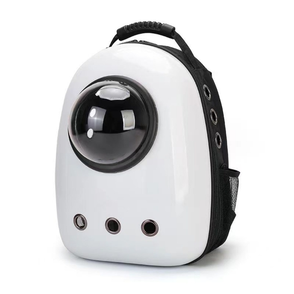 2e99d24a-75c4-4b68-affc-473de451b408.jpe