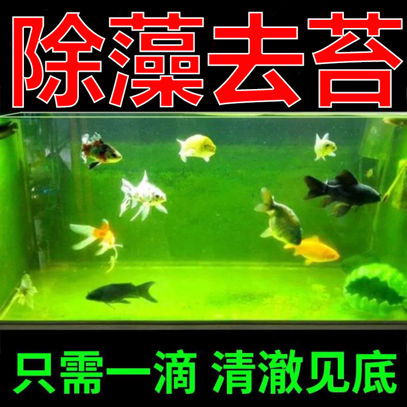 除藻1