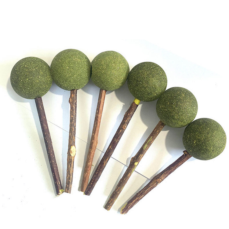 微信图片_20210413215752