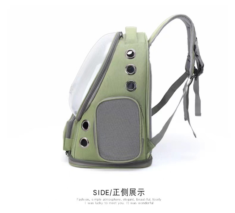 6b47290dba26ea0834aa24573fad9c