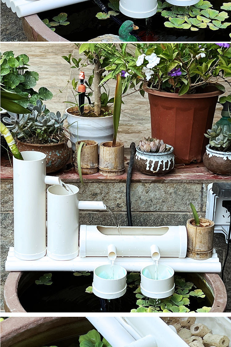 2b1df298-2092-4290-b994-1149f9fc8af4.jpe