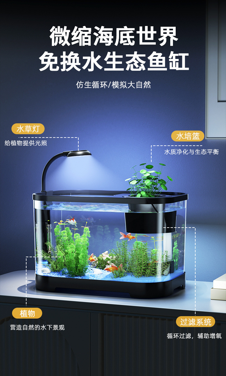 9541953e-5abb-4a65-ba08-7ce1def3c7b0.jpe