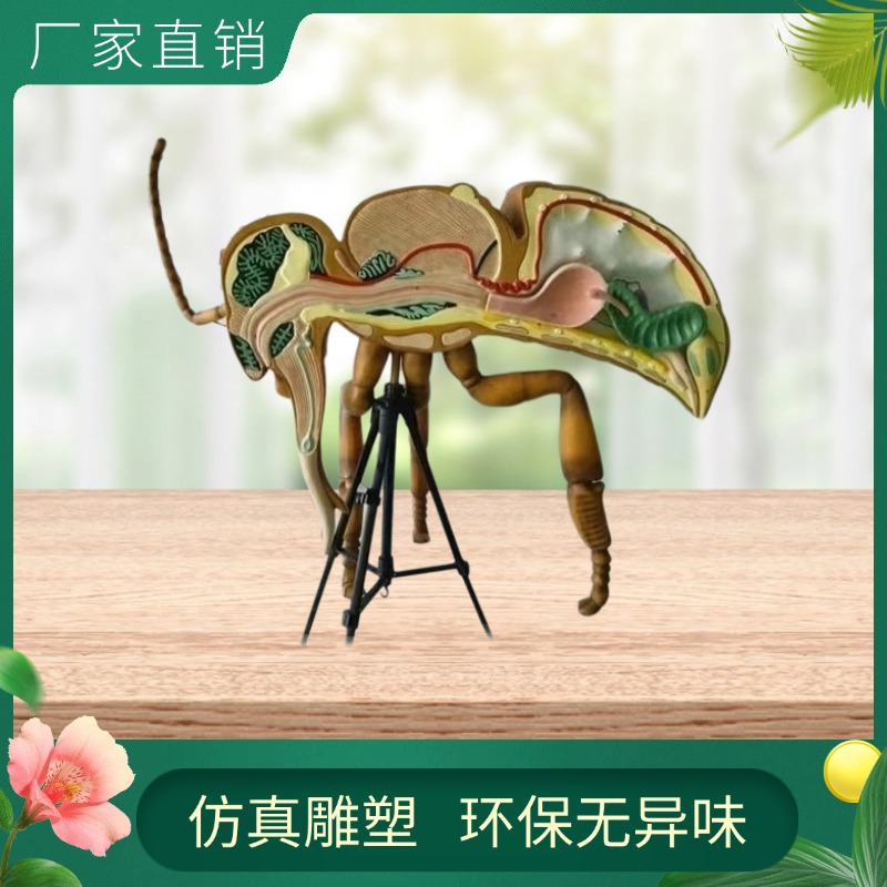 小程序商城社区团购生鲜主图图标 (7).jpg