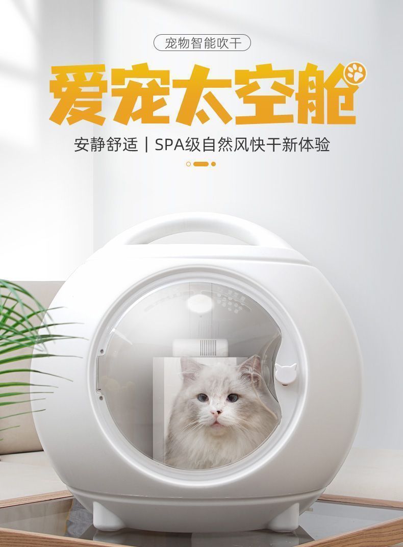 ebee3915-4c48-459d-8618-9b9824208d3e.jpe