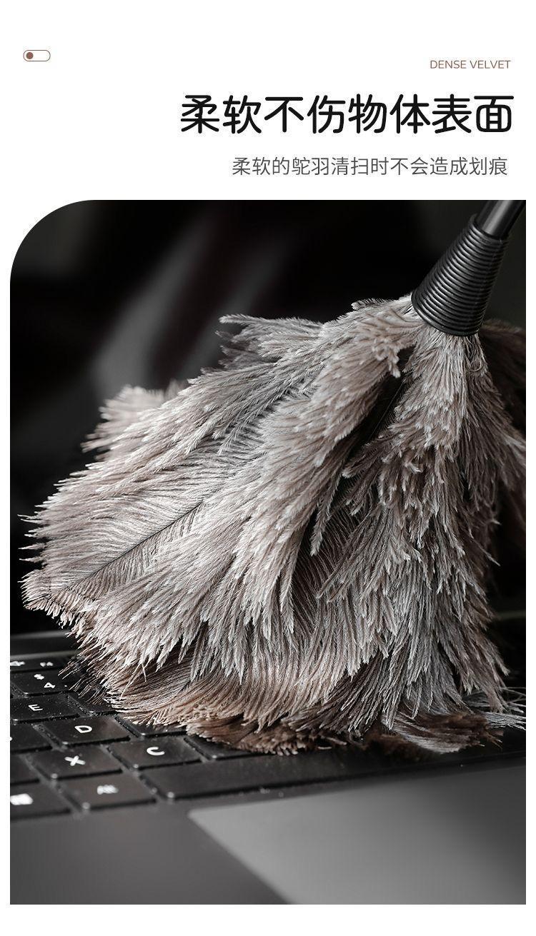 jpeg_m_7ca222ffa925e206be8ee27