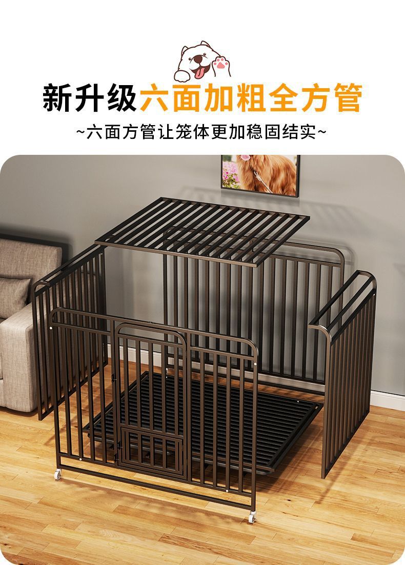 f67a90b0-fe9a-4de1-86f9-094bcad9616b.jpe