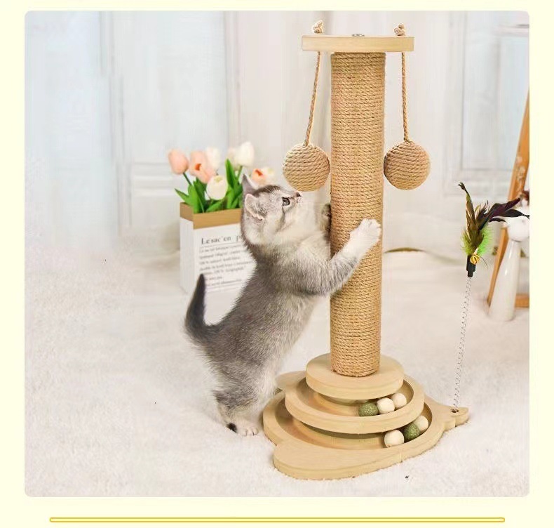 61566335-12cc-4c16-9037-3f9bd9a83e0a.jpe