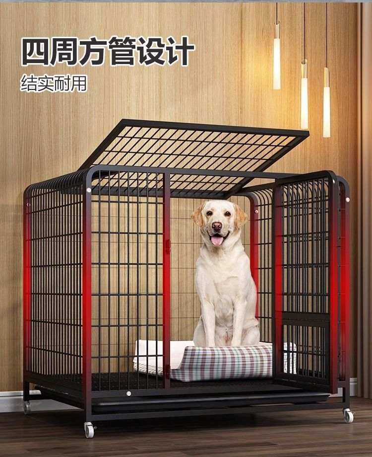 6f8ba8d3-7c46-4fca-8790-007d8fc2caae.jpe