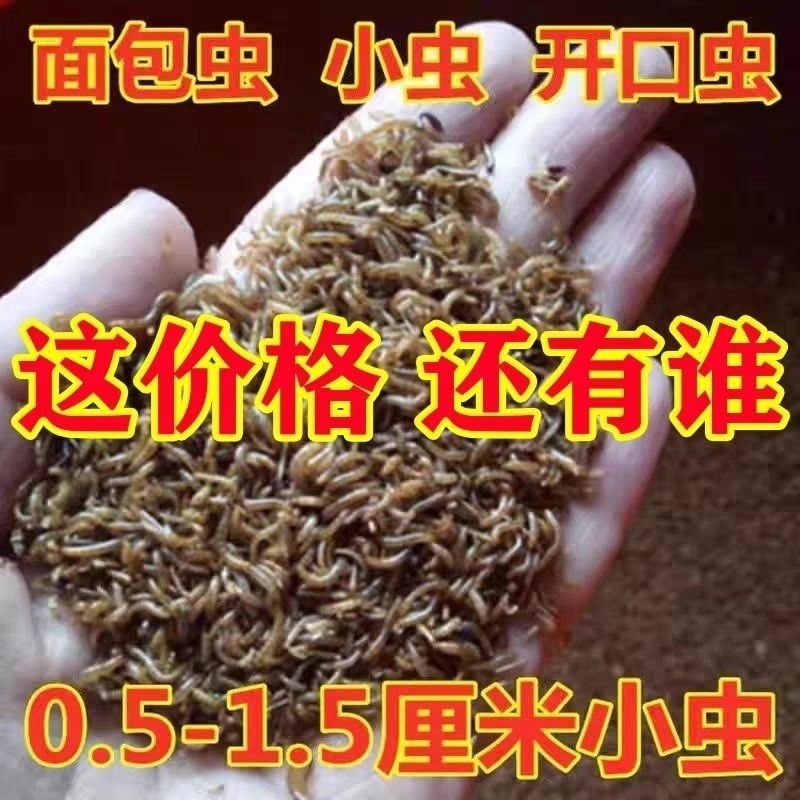 dbc37b36-599e-406c-9dfd-98624a1a4419.jpe