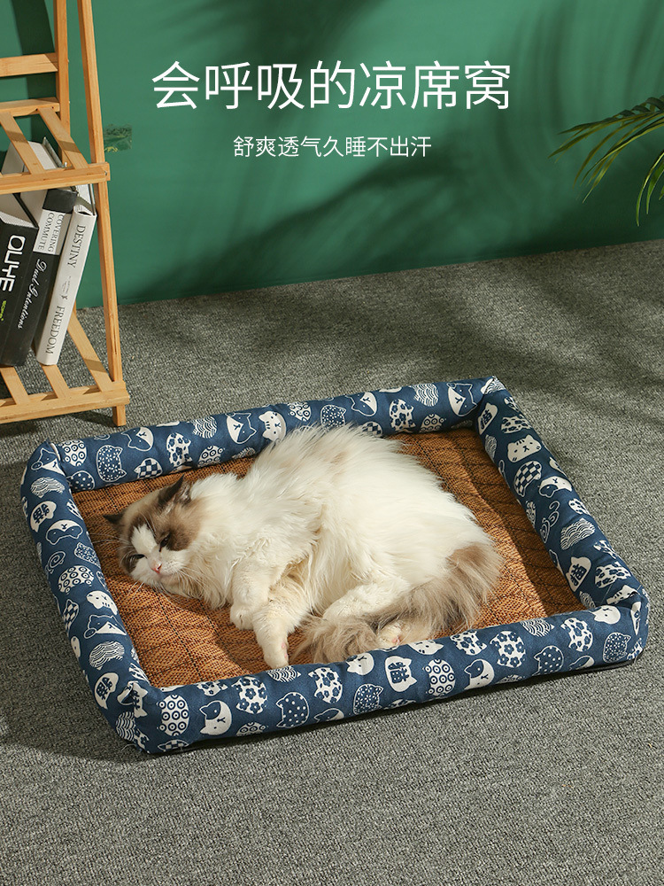 554b3d51-ecfc-45d9-ac14-1b4f75f8c031.jpe