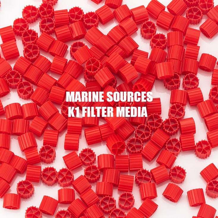 2024-08-22 19:32:12.jpg