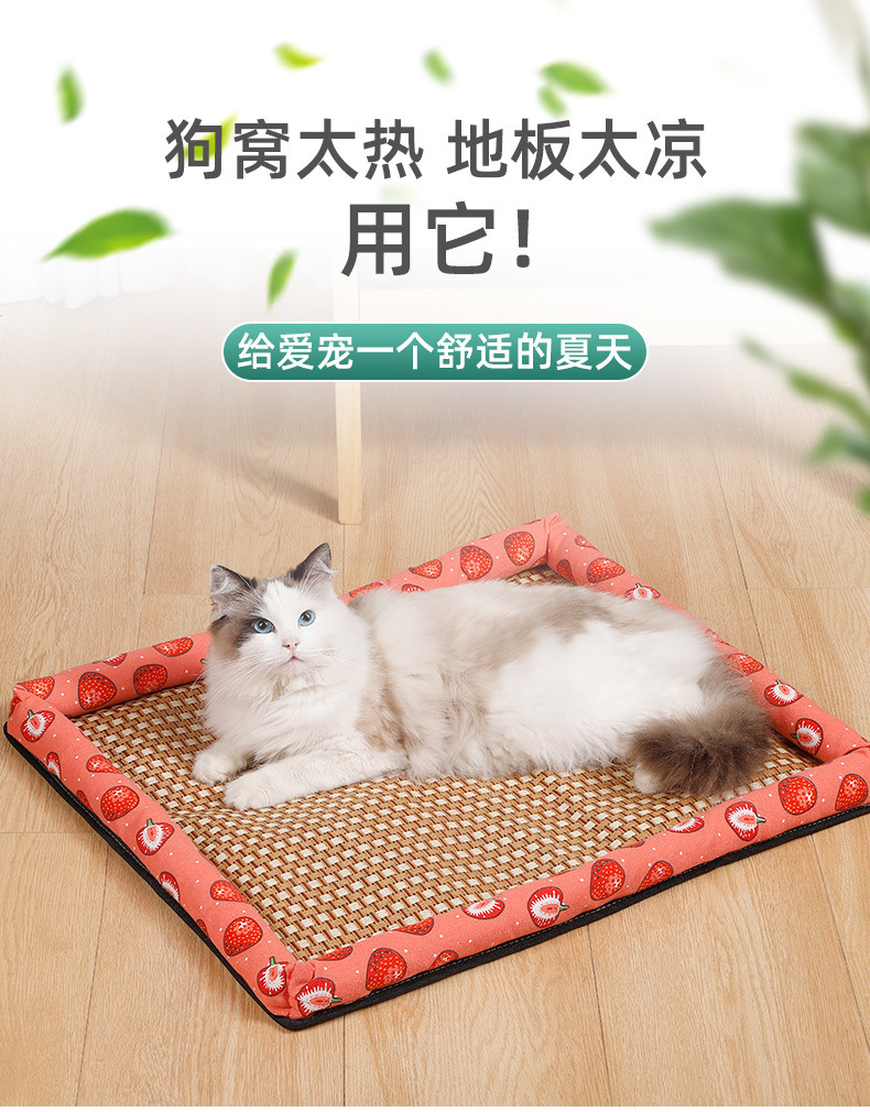 0495eccf-ff81-44ce-a67b-45134ead2b0a.jpe