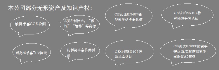 关于无形资料的介绍750+240