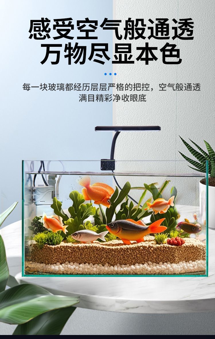 1aef6351-705c-41d1-8b27-e0e8c04a65fb.jpe