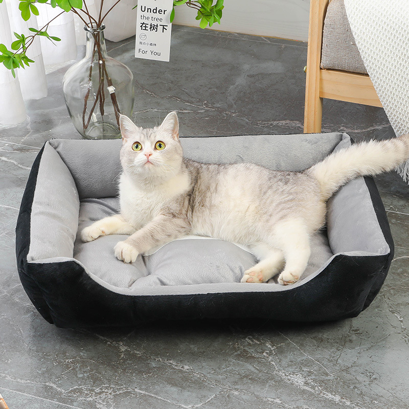 e64261c5-ba9c-4073-9e82-5591a4ecc856.jpe