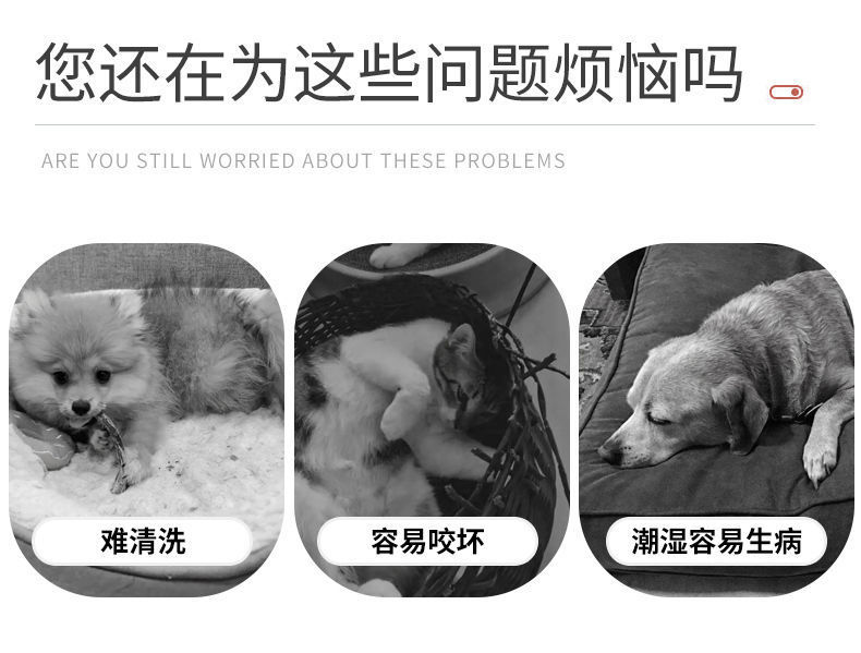 c18d2121-e76f-4bc7-8f0f-198acc58972c.jpe