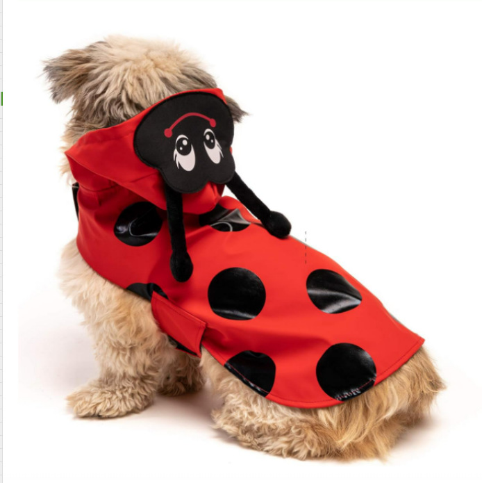 微信图片_20241001095306