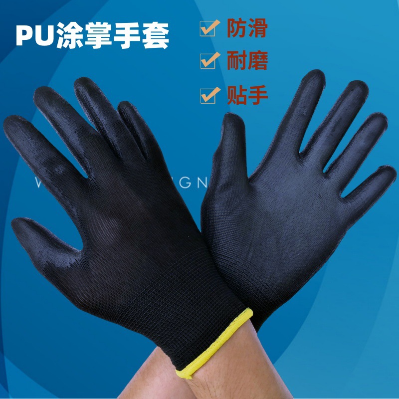 IMG_20180912_111808_800X800