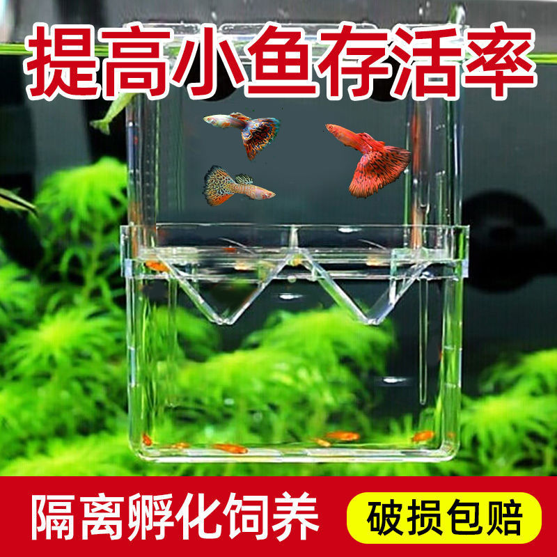 18f1a117-01aa-4e1f-8103-f32a0910d029.jpe