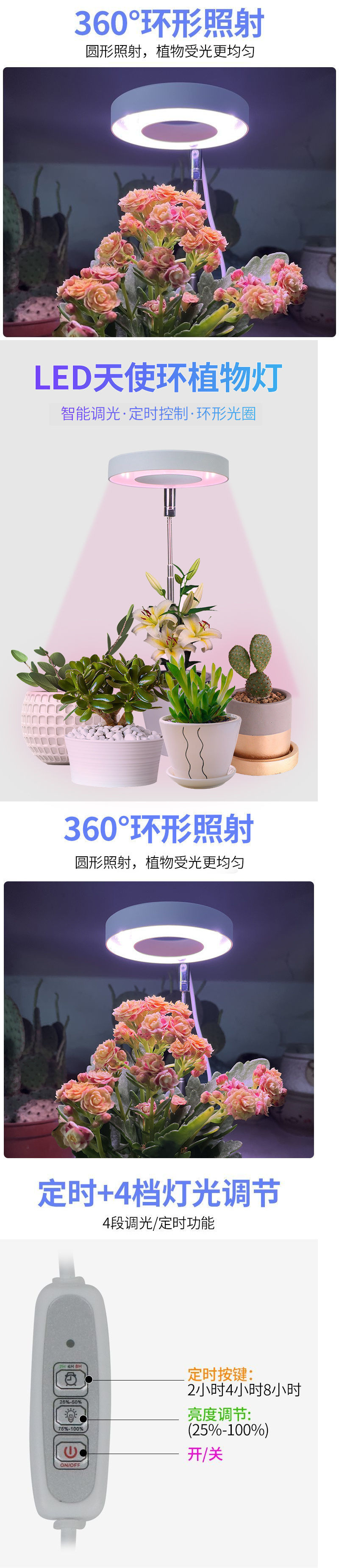 741a3cc8-5945-4efa-94b9-b6eb5f9b8203.jpe