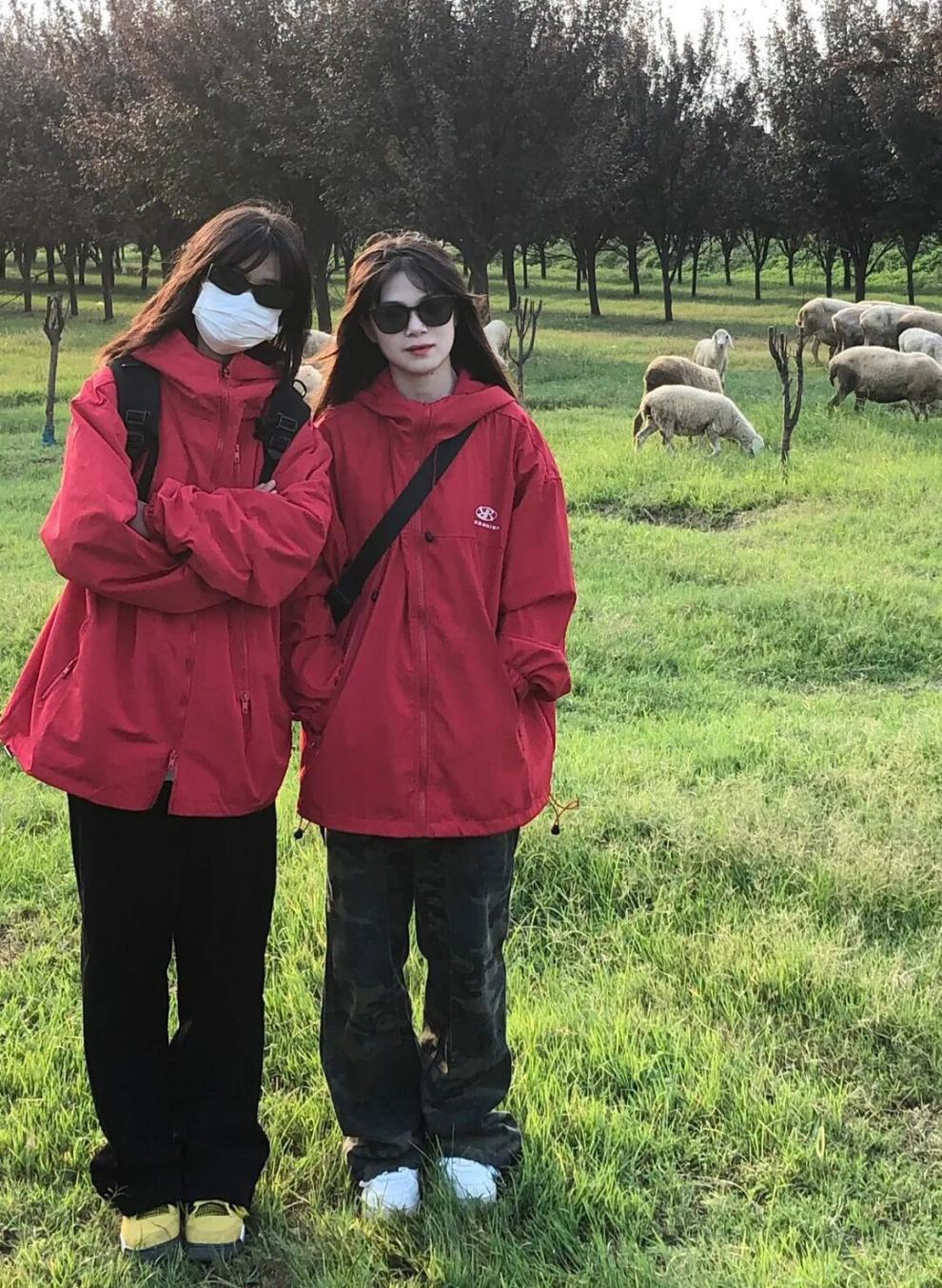 c23fa452-e584-4c5e-a677-d04404374aa3.jpe