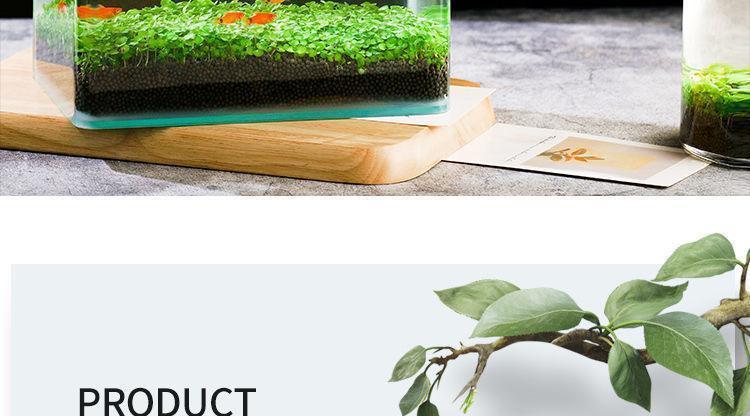 2707ce69-d322-429d-bb54-cf9f5950794e.jpe