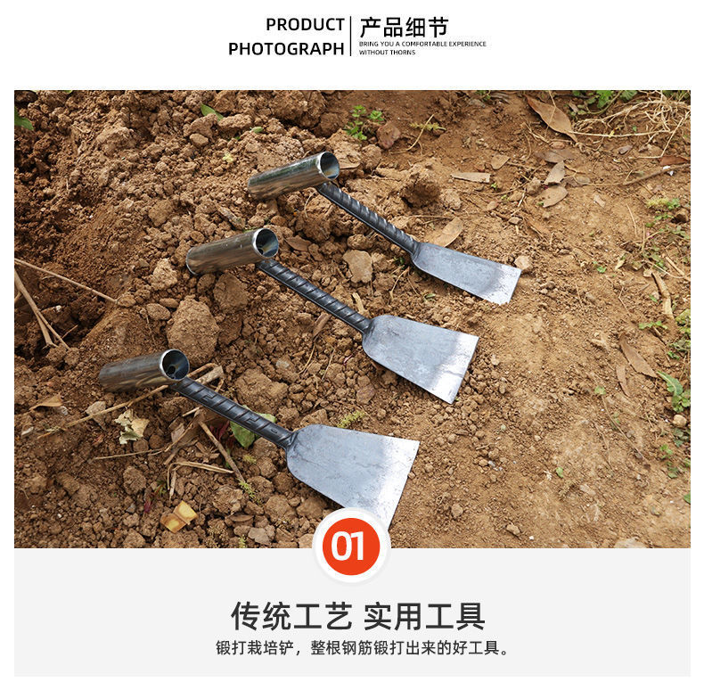 f5866193-0dfe-42ae-ad10-7a9833300d9f.jpe