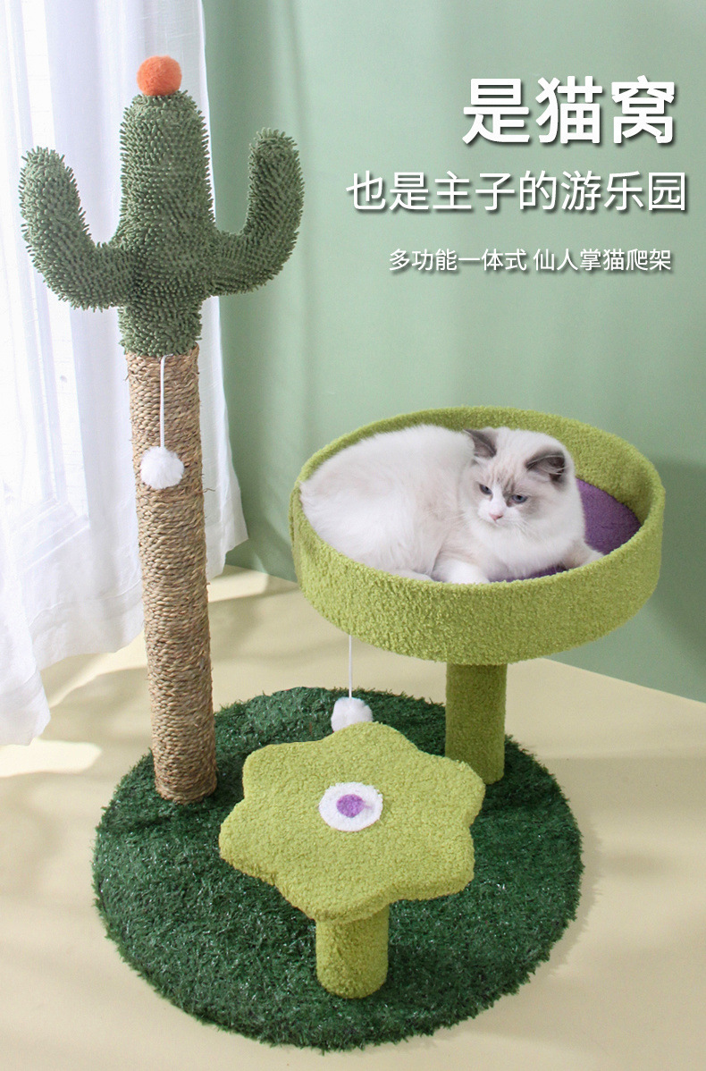 aa0af47b-5b71-4b67-a565-ad5aa46eef55.jpe